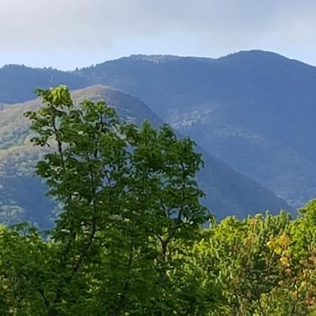 Mountain Serenity Gatlinburg Buitenkant foto