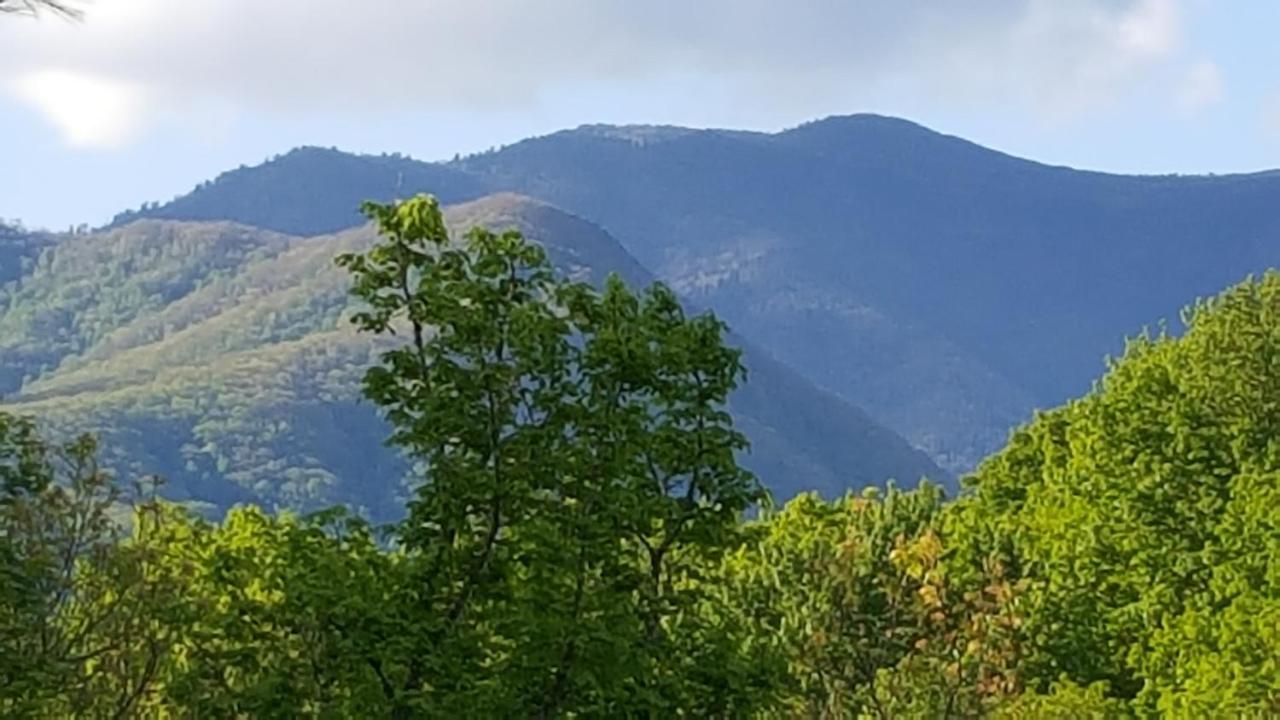 Mountain Serenity Gatlinburg Buitenkant foto